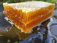 PURE NATURAL ORGANIC RAW BEE HONEY