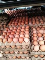 WHITE AND BROWN CHICKEN EGGS/FRESH TABLE EGGS.