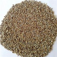 HIGH QUALITY YELLOW BROOM CORN MILLET/GRAIN, 