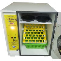 HIGH QUALITY EGG INCUBATOR