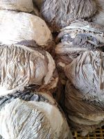 COW SALTED OMASUM SUPPLIER FROM PAKISTAN