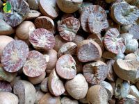 Wholesale Price of Indonesian Split Betel Nuts
