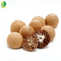 Best Quality Whole Betel Nuts Wholesale Price