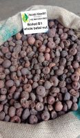 The Best Quality Boiled Betel Nuts From Indonesia