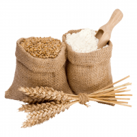 Wheat Flour