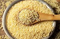 100% Natural Dried Whole Millet Grains yellow millet  broomcorn yellow millet