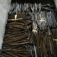 Planifolia Variety vanilla beans Organic Madagascar Vanilla Beans Wholesale Vanilla Pods For Vanilla Extract and Baking  Robusta Beans Arabica Coffee Beans Butter beans Cocoa beans Fresh beans