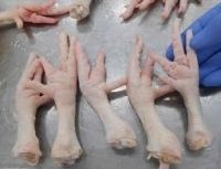 Frozen Grade A+ Chicken Feet