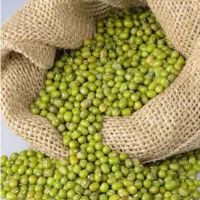 Wholesale Green Mung Beans Factory Price Green Mung Beans