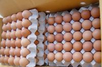 Fresh Brown/White Table Eggs Chicken Eggs