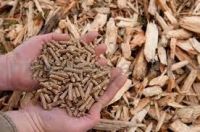 Briquettes Biomass supplier/Premium Quality Wood Briquettes wholesale / wood pellets for sale