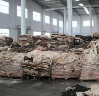 Wet Salted Donkey Hides, Dry Salted donkey skin, Wet Salted Cow Hides Skins, donkey hides