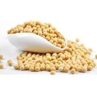 Best Grade Soybean Seeds