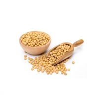 Top quality Non GMO Soybean ( Soybean seeds) Organic soybean seeds