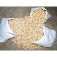soy bean seeds