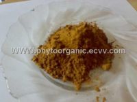 Sell Chicory root powder