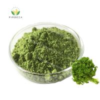Factory Wholesale 100% Parsley Extract Powder
