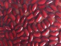 Sell canned red kidney bean