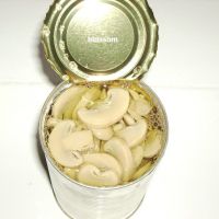 Sell Canned Mushroom Slice