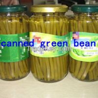 canned green bean