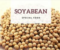 SOYBEANS SUPPLIERS