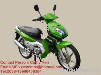 Sell Motorbike/Motorcycle 110CC(VS110-18)