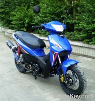 Sell 110CC CUB MOTORCYCLE(VS110-11D)