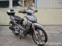 Sell 110cc Cub motorcycle(VS110-9C)