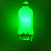Sell neon lamp (NE-2G)