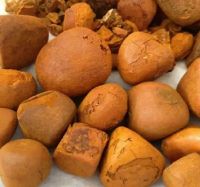 nutmeg