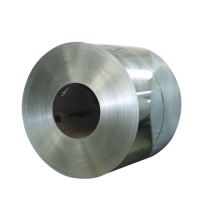steel coils Supplier