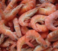 High quality shrimps Supplier