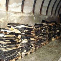 Wholesaler of Cow Hides in cheap price