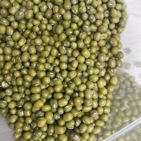 Top Selling good Quality Mung Beans