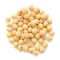 Top quality Soybean supplier