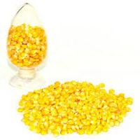 Fresh Canned sweet Corn, Canned sweet Corn, Canned sweet corn kernel