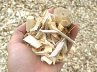 High quality Wood Chips