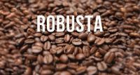 High quality Viet Nam Robusta coffee Beans