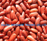 Red kidney beans / English red kidney beans