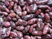 Red speckled kidney beans(Purple speckled kidney beans)