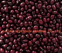 Purple kidney beans (round)