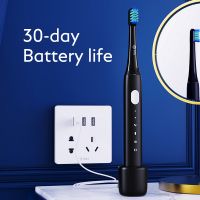Electric Toothbrush InflyP20C