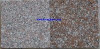 Sell Red granite floor/wall tiles