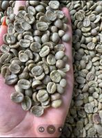 Supply Green Coffee Bean from Viet Nam