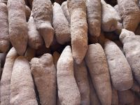 Fresh Yam