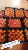 we offer mandarin murcotte