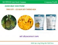 BAVI-JACKFRUIT CHIPS 100g (Premium)