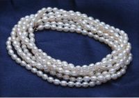 freshwater Button Pearl Necklace