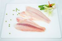 Frozen Pangasius - Fillet (whatsapp: +84888184799/ email: julieATaquamatrix.vn)