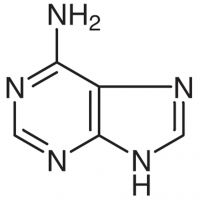 Adenine